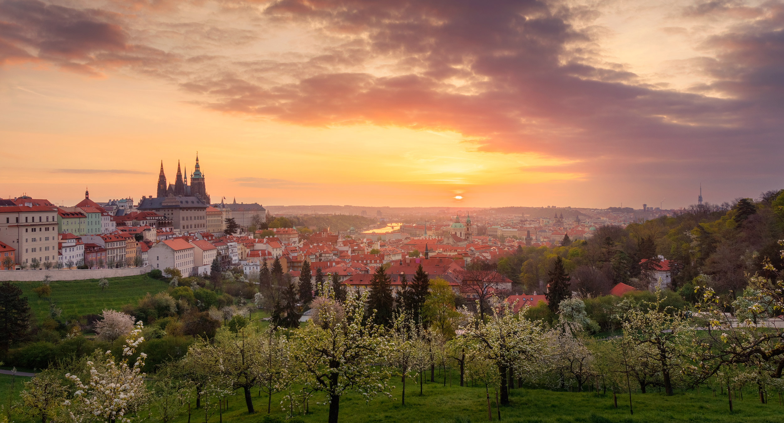 A beautiful spring view of Prague at sunrise from Petrin hill. P