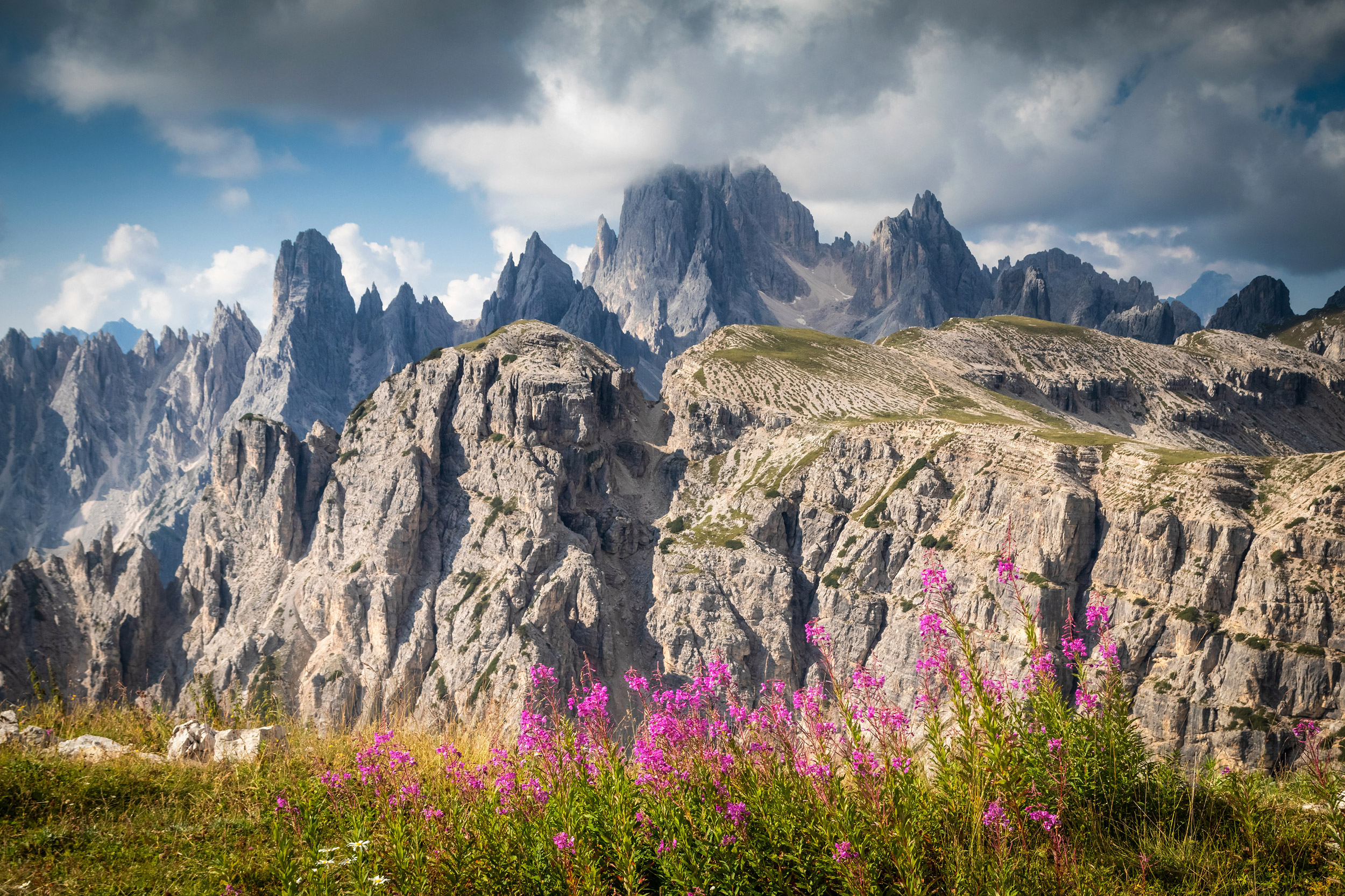Great view on Tre cime on rocky mountain around with flowered fo