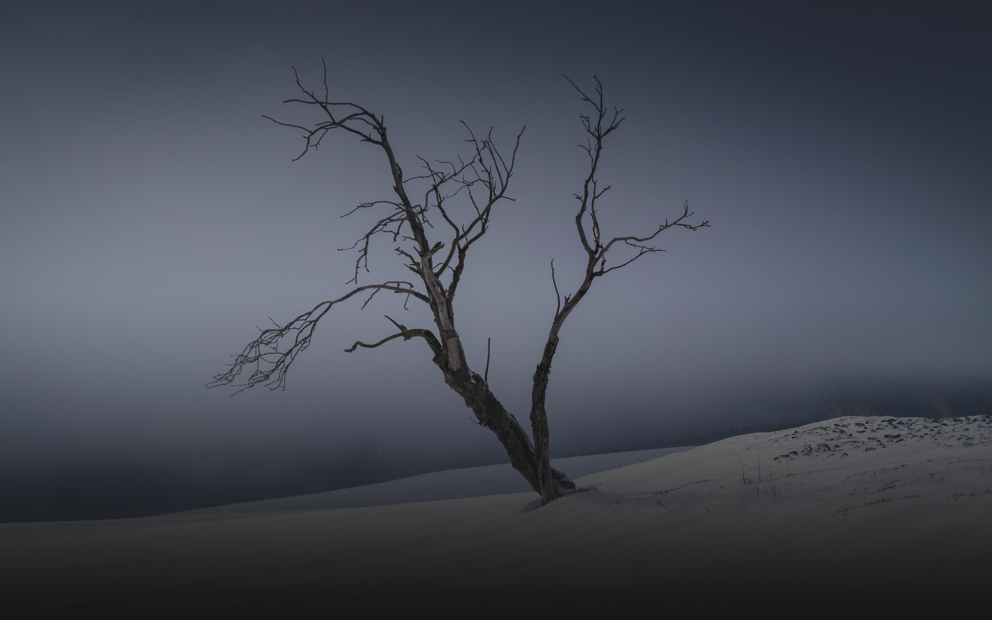 web-photo-covers106