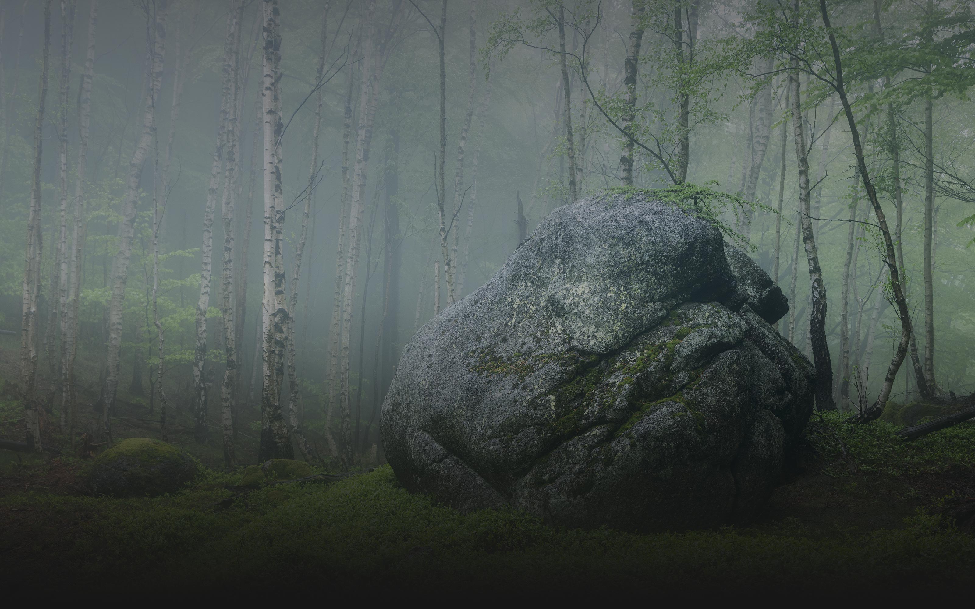web-photo-covers107