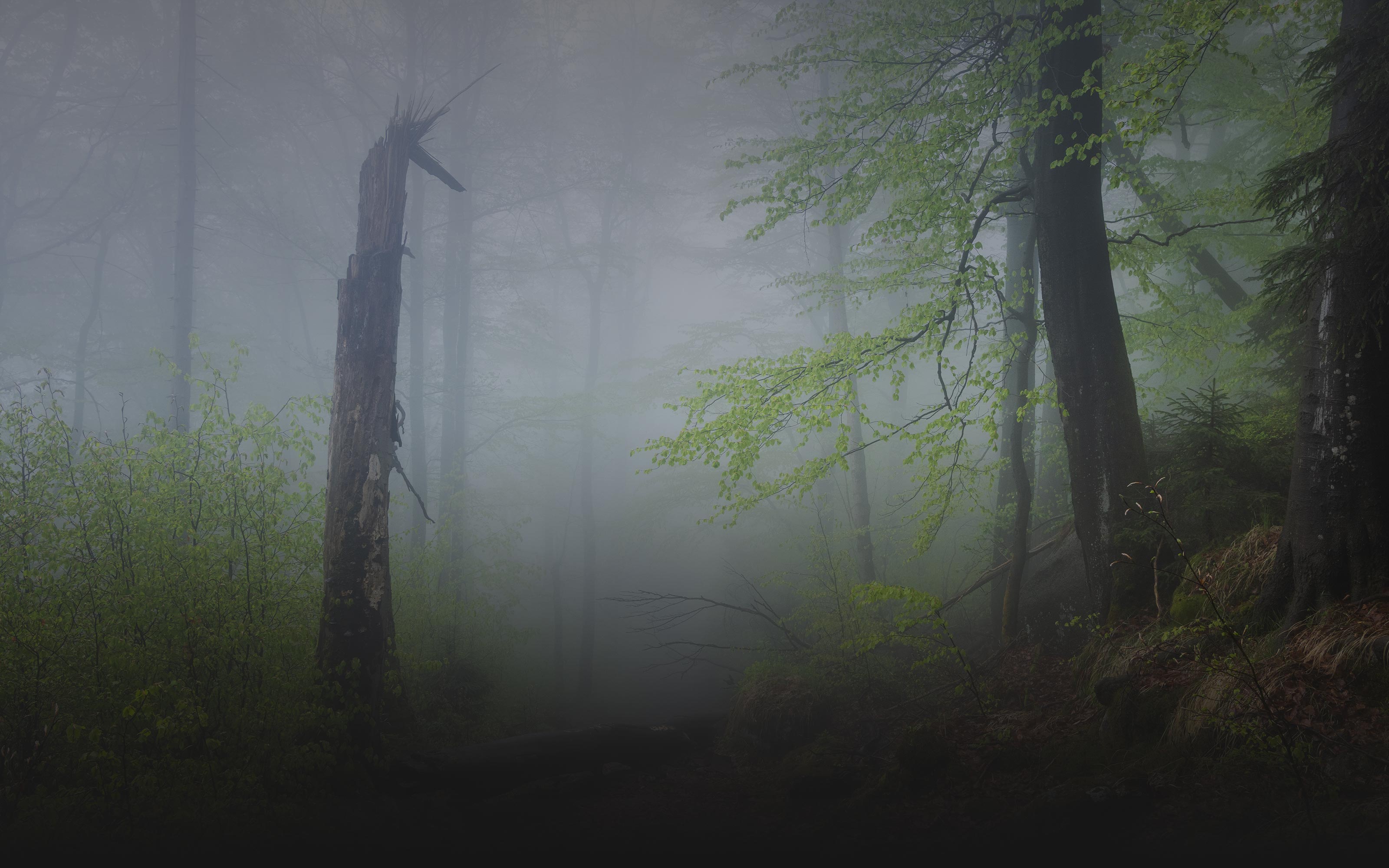 web-photo-covers108