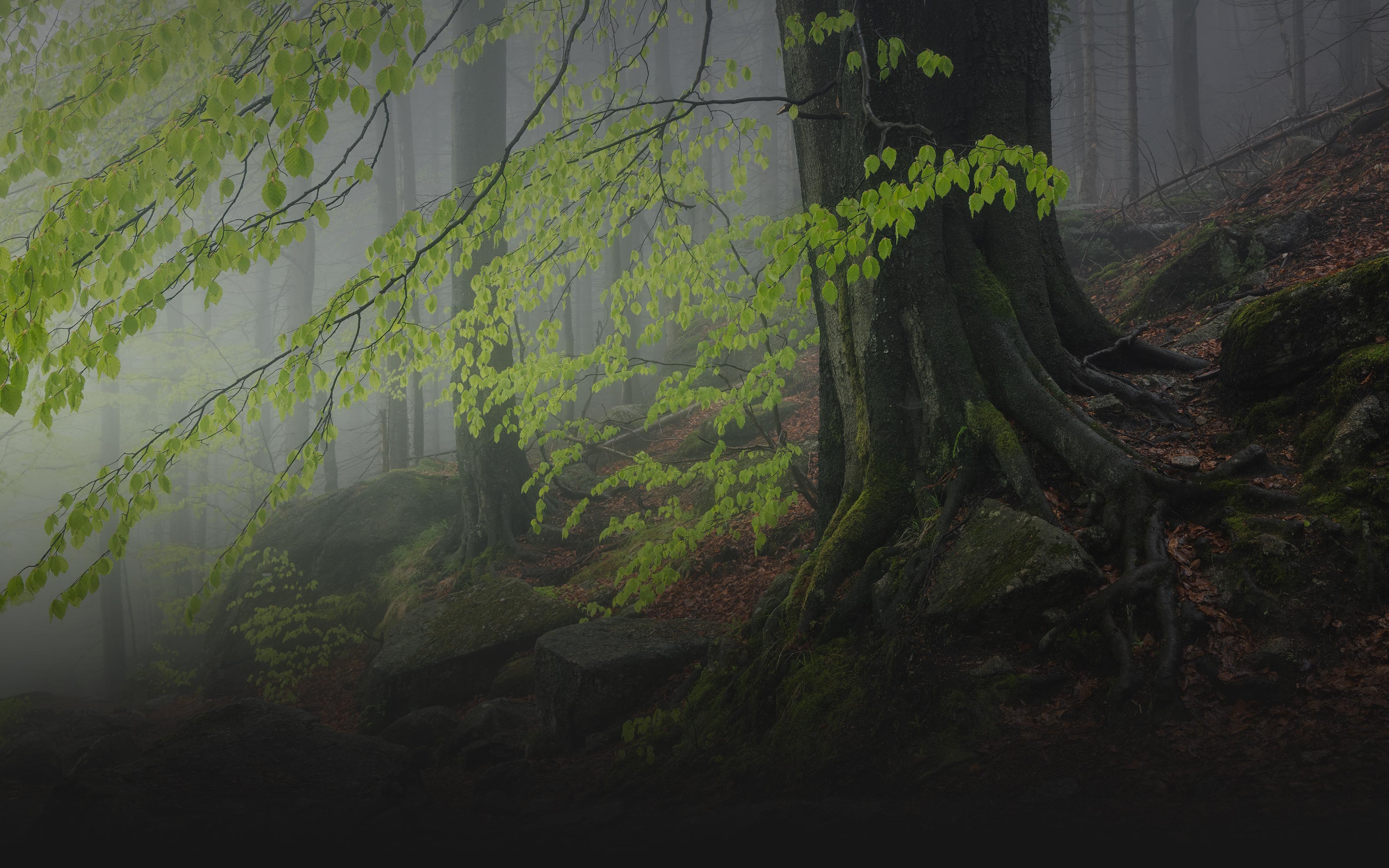 web-photo-covers109