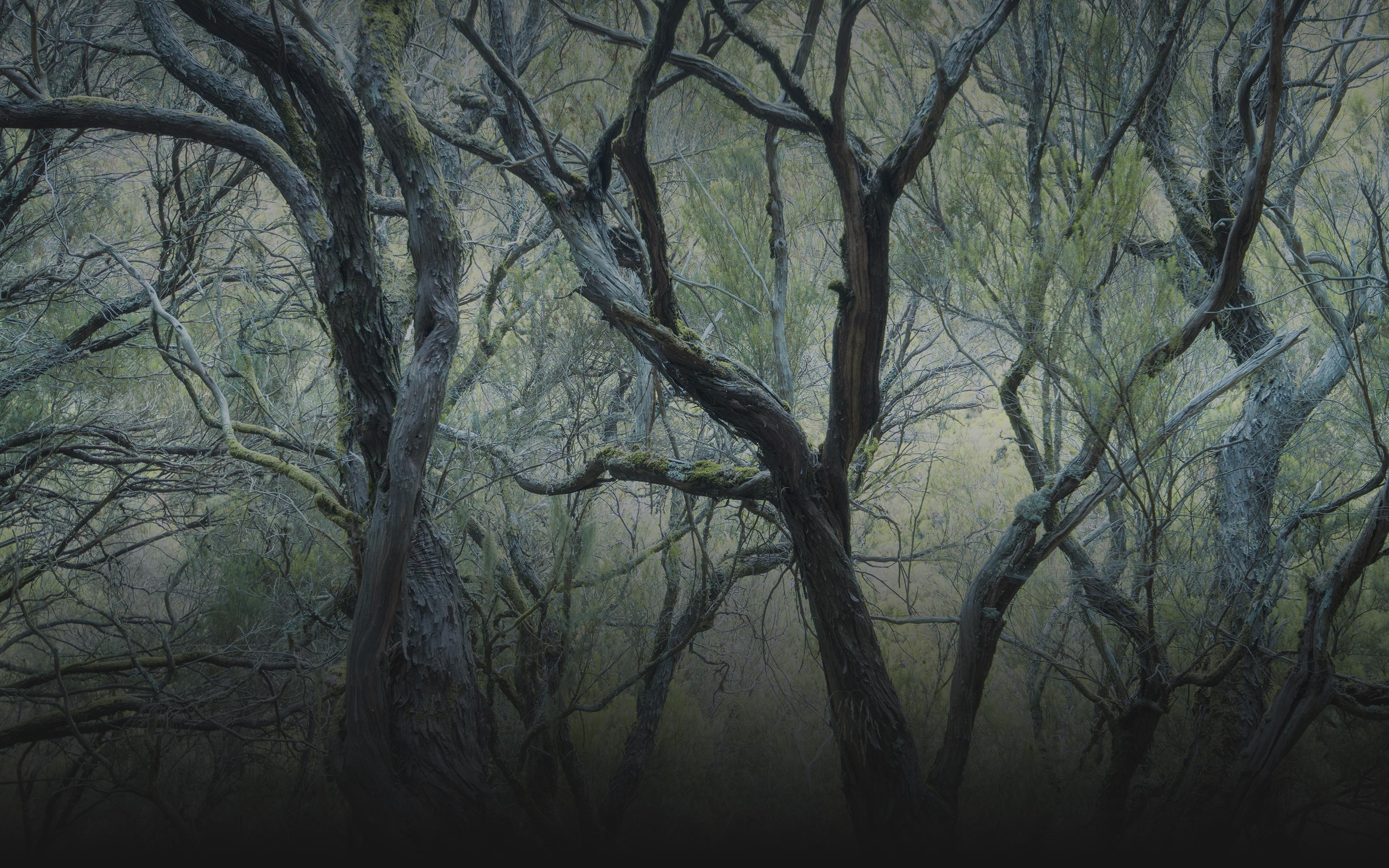 web-photo-covers111